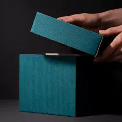 Packaging Hardbox Dengan Kualitas yang Tinggi dan Elegan