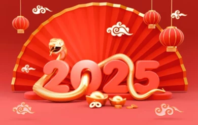 Kemasan Eksklusif Tahun Baru Imlek 2025 